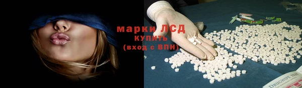 ПСИЛОЦИБИНОВЫЕ ГРИБЫ Карпинск
