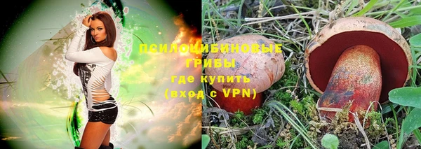 первитин Козельск