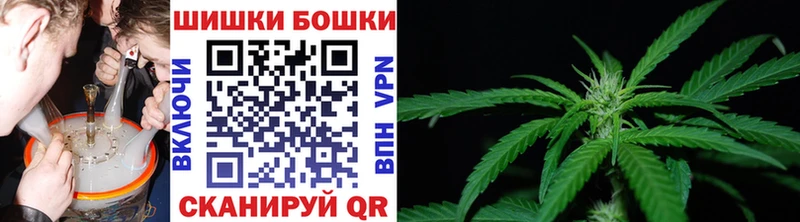 shop официальный сайт Фрязино Шишки марихуана ГИДРОПОН